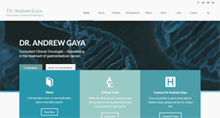Desktop Screenshot of andygaya.com